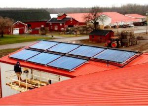 brightlyfarms3